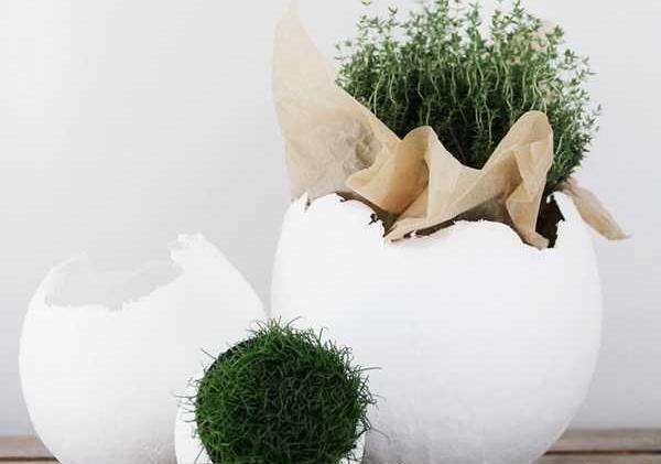 عکس قشنگ ترین سبزه عید