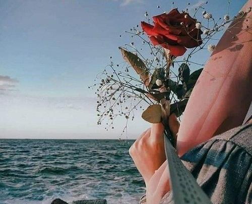 عکس دریا شیک