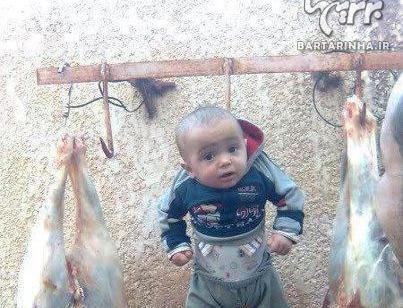 عکس های جالب رشخندی