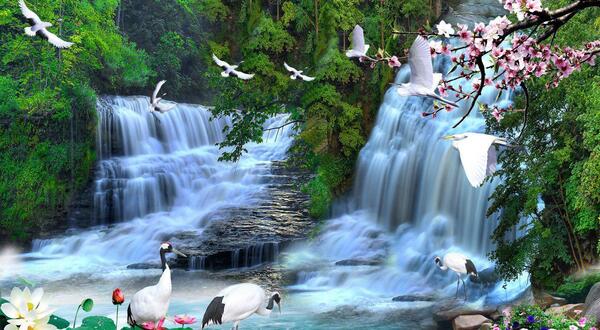 عکس سه بعدی چینی