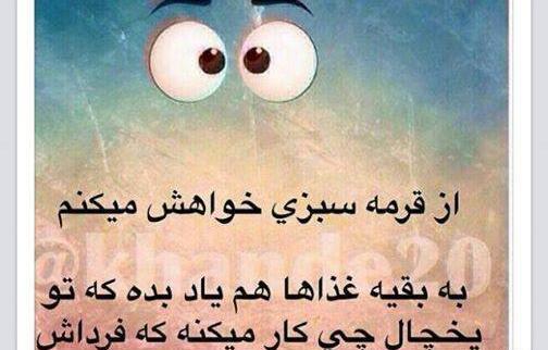 عکس قورمه سبزی طنز