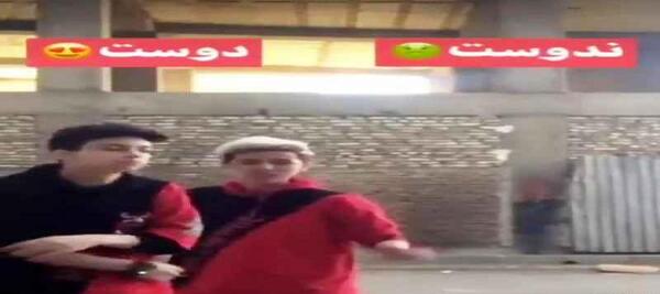 عکس تارا مبین شکیب