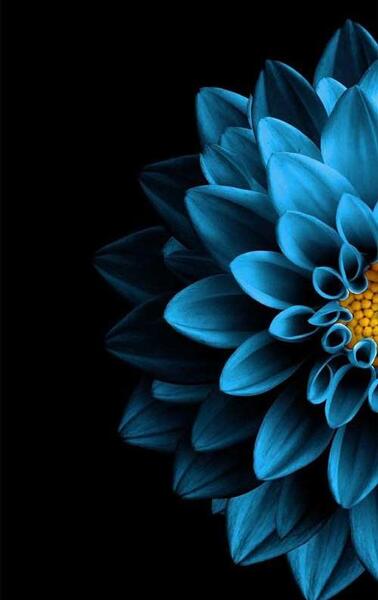 عکس های جالب برای تصویر زمینه