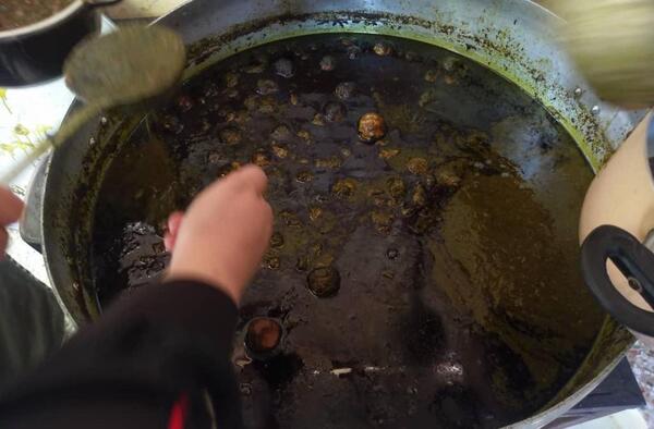 عکس غذای نذری قورمه سبزی