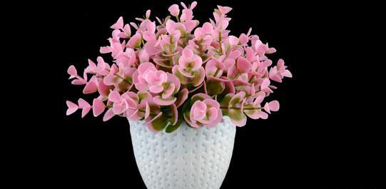 عکس ثبت گل