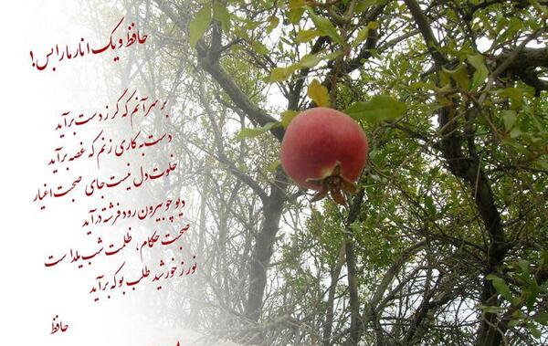 عکس حافظ و انار