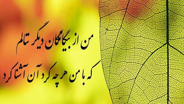 عکس نوشته سحر بلبل حکایت با صبا کرد