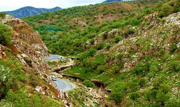 عکس تنگ رازیانه
