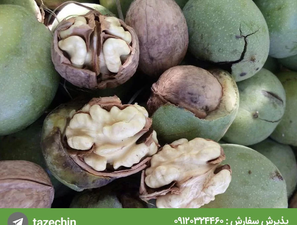 عکس حسن گردو همدان