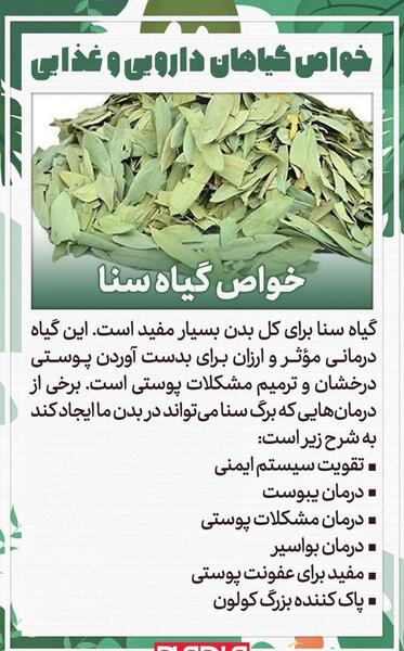 عکس برگ سنا