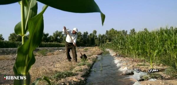 عکس صادق کاوری زاده