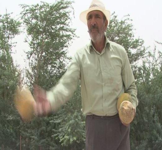 عکس صادق کاوری زاده
