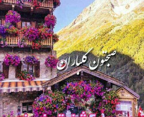 عکس صبح یکشنبتون بخیر