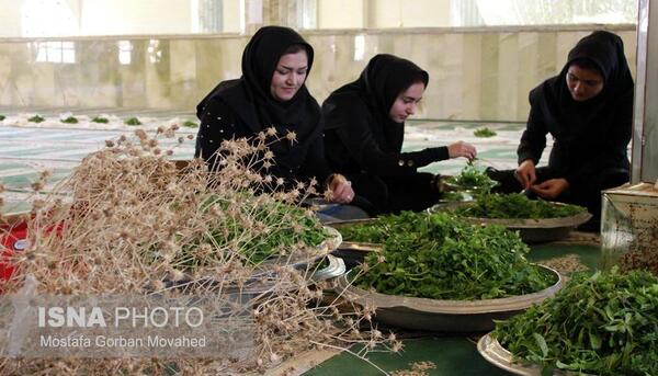 عکس رقیه اسلامی