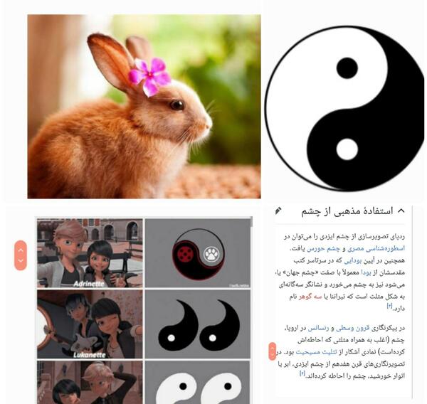 عکس خرگوش لیدی باگ