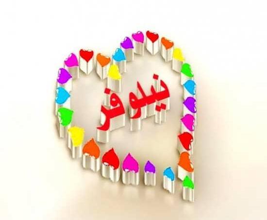 عکس نوشته عاشقتم نیلوفر