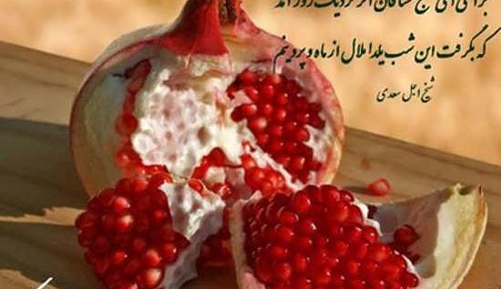 عکس کتاب حافظ شب یلدا