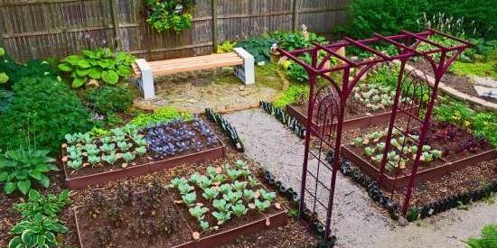 عکس ایده برای باغچه سبزی