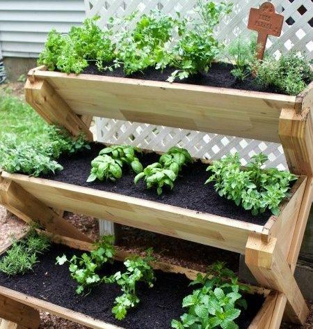عکس ایده برای باغچه سبزی