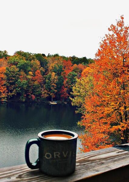 عکس قهوه پاییزی