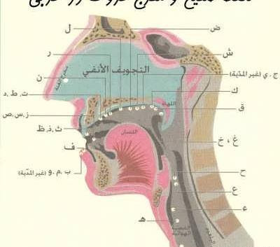 عکس از ارکان نماز
