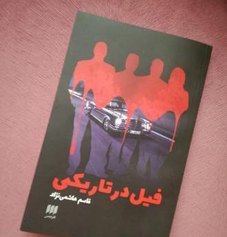عکس فیل در تاریکی