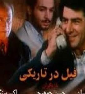 عکس فیل در تاریکی