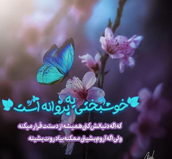عکس نوشته از پروانه