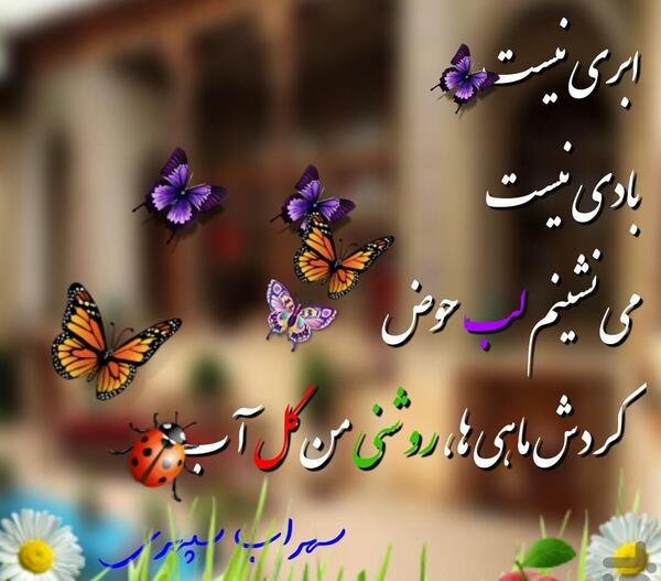 عکس نوشته از پروانه