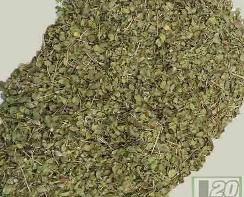 عکس گل آویشن شیرازی