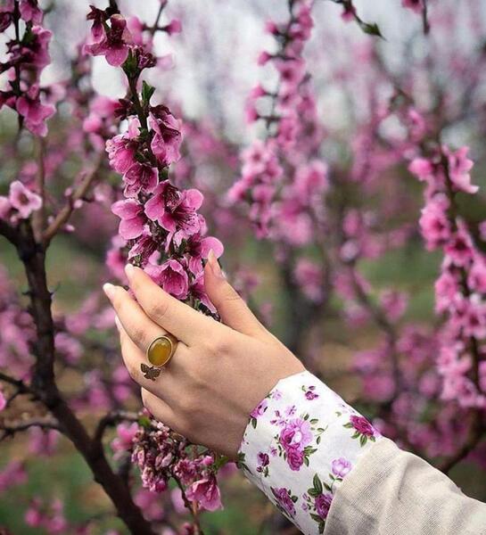 عکس بهار برای پروفایل دخترونه