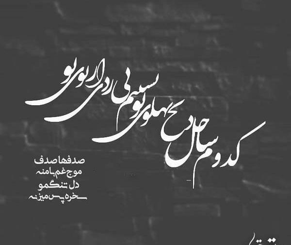 عکس صدف سیاه و سفید