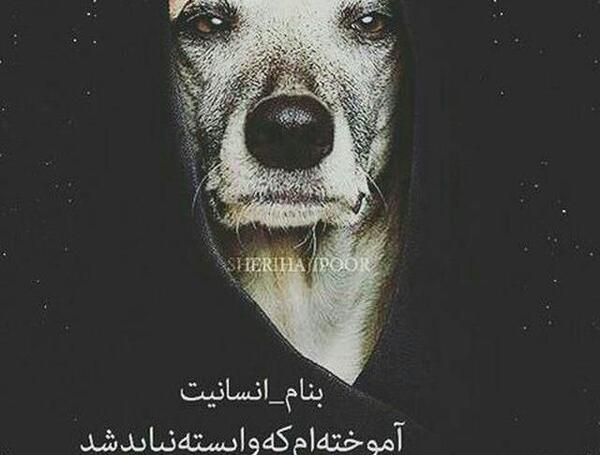 عکس تنهایی لاتی