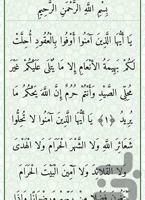 عکس امین پرهیزکار