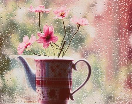 عکس پروفایل گلهای شیک