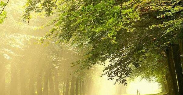 عکس زیبای طبیعت خدا
