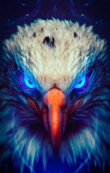 عکس عقاب برای صفحه گوشی
