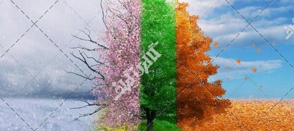 عکس بهار پاییزی
