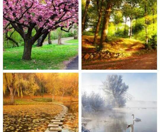 عکس بهار پاییزی