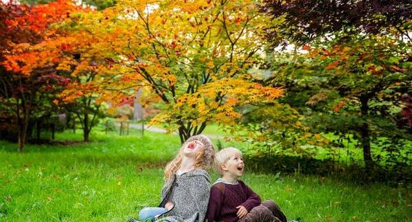 عکس پرتره پاییزی