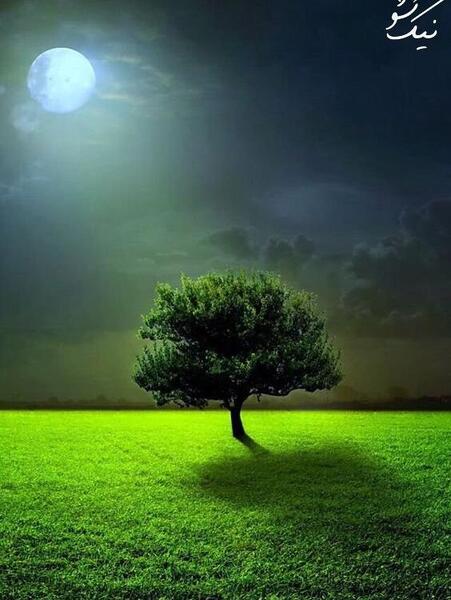 عکس پروفایل طبیعت