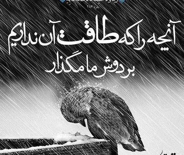 عکس خدایا طاقت دوریشو ندارم