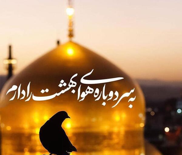 عکس نوشته یا امام رضا ضامنم شو