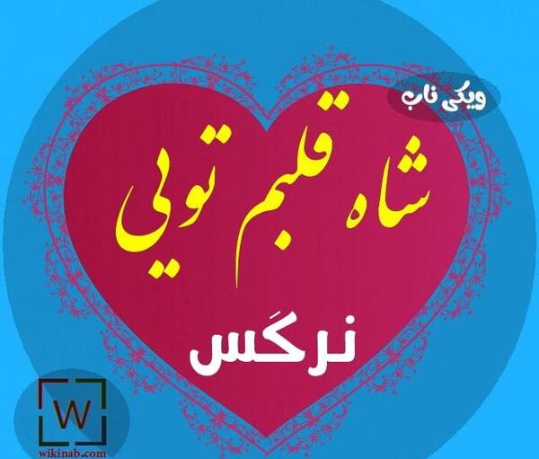 عکس نوشته نرگس و محمد