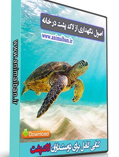عکس حیوان خانگی لاک پشت