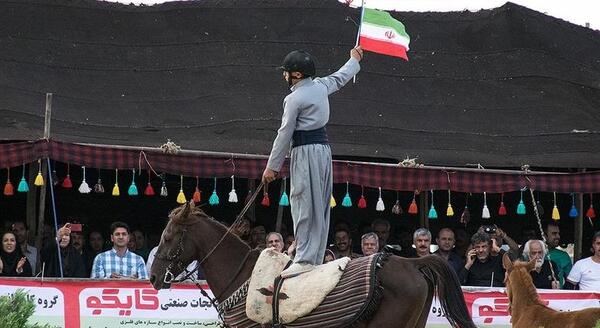 عکس اسب قهوه ای تیره