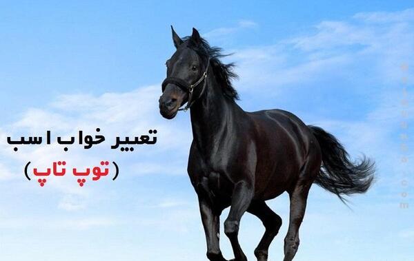 عکس اسب قهوه ای تیره