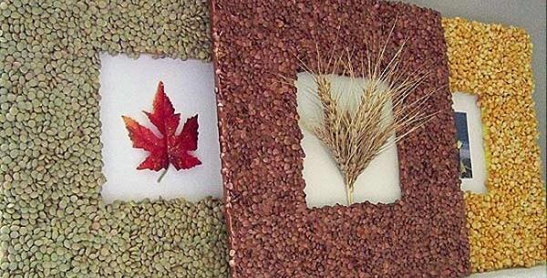 عکس ایده قاب عکس با کنف