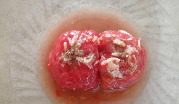 عکس غذا شور