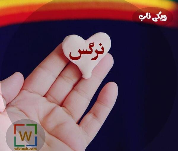 عکس نوشته حامد و نرگس